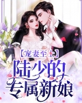 宠妻至上：陆少的专属新娘