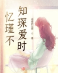 忆瑾不知琛爱时