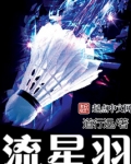流星羽