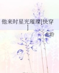 他来时星光璀璨[快穿]