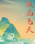 毅龙飞天