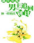 前任女配,男主追回计划