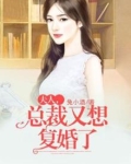夫人，总裁又想复婚了
