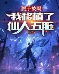 腰子被噶我移植了仙人五脏 小说在线