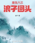 重生八三:浪子回头