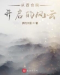 从四合院开启的风云