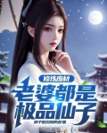 修炼废材，老婆都是极品仙子