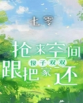 七零：抢来空间跟傻子双双把家还