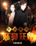 女总裁的贴身狂婿杨辰小说