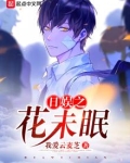日娱之花未眠