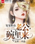 宠宠欲动：老公，碗里来