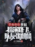 禁地探险：开局扮演路飞，队友张麒麟